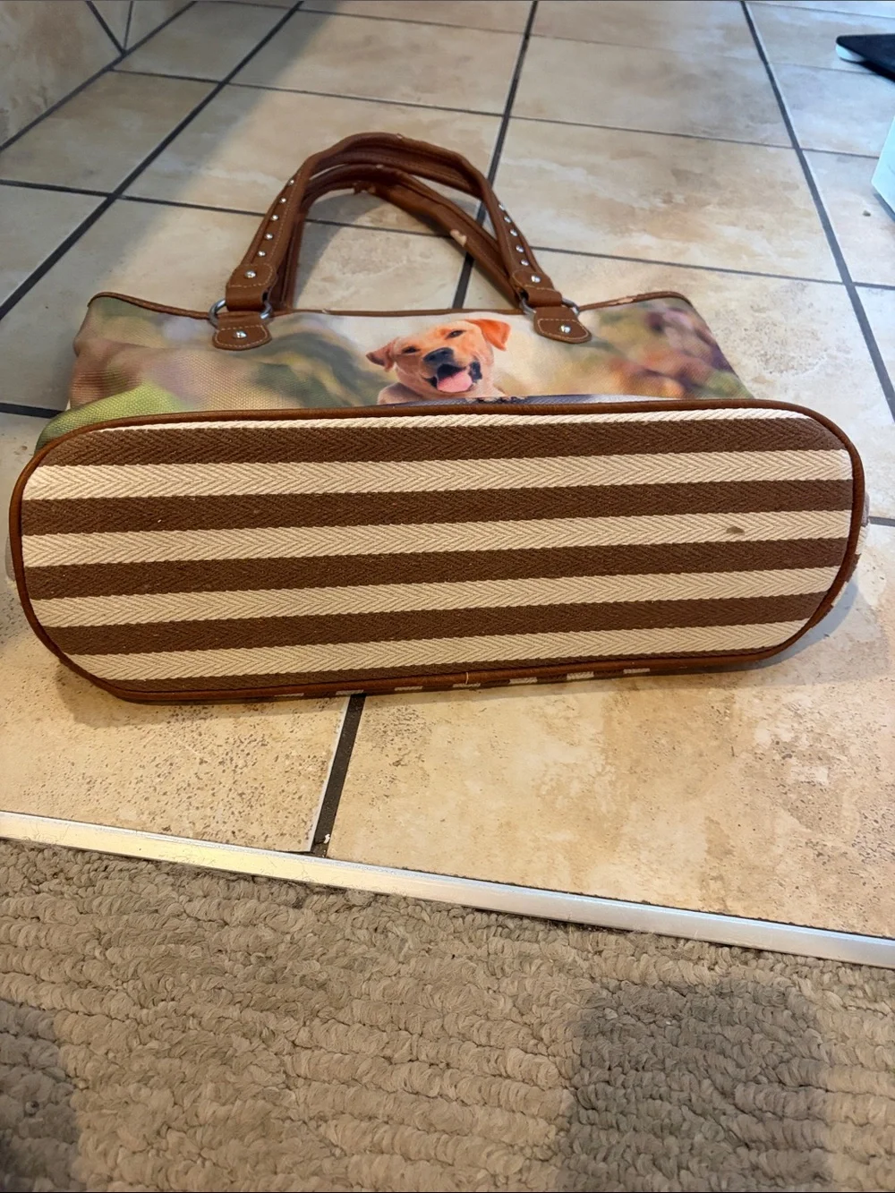 Montana West stylish pet